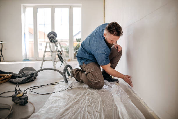 Best Ceiling Drywall Installation  in Bowdon, GA